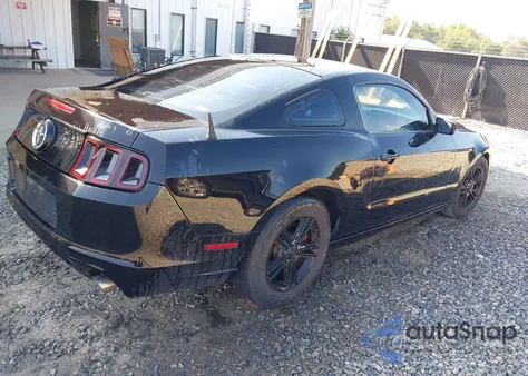 2014 Ford Mustang V6 z USA, uszkodzony, nr VIN 1ZVBP8AM2E5330069